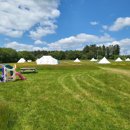 Hotel Dorset Glamping Fields Corfe Mullen Zewnętrze zdjęcie