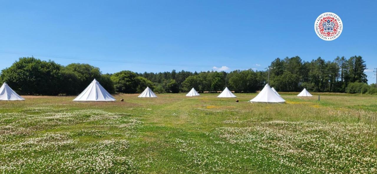 Hotel Dorset Glamping Fields Corfe Mullen Zewnętrze zdjęcie